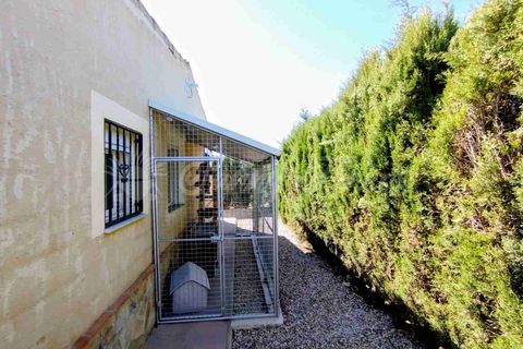 Landejendom i Caudete, Albacete, Caudete - € 149.950 | Ref: SF0574 - foto 26